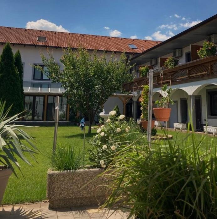 Gaestehaus Und Weinbau Zur Wiederkehr Strudler Podersdorf am See Εξωτερικό φωτογραφία