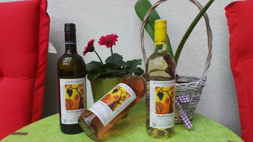 Gaestehaus Und Weinbau Zur Wiederkehr Strudler Podersdorf am See Εξωτερικό φωτογραφία